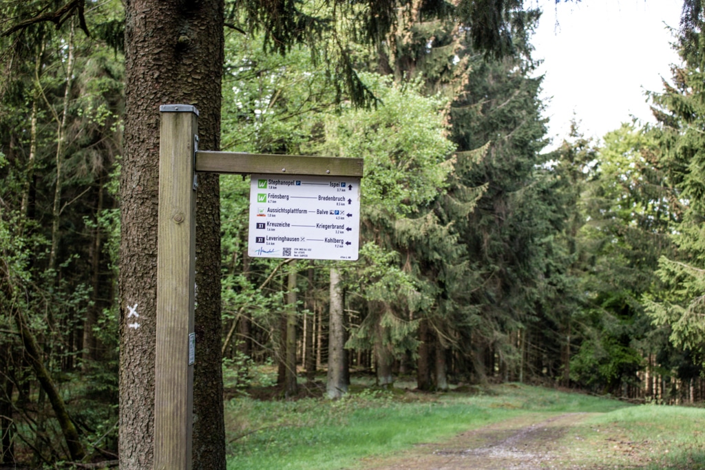 Wegweiser der Sauerland Waldroute inmitten eines Waldes in Balve