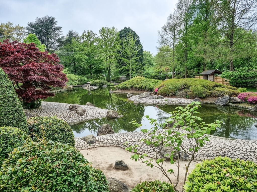 Blick über den See im Japanischen Garten in Bonn. Rundherum befinden sich zahlreiche Bäume und Pflanzen.