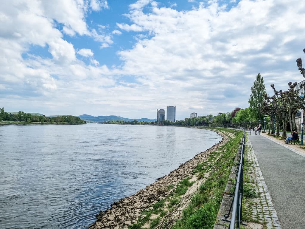 Blick über den Rhein mit einigen Hochhäusern im Hintergrund. Rechts vom Rhein führt eine Promenade mit Bäumen entlang