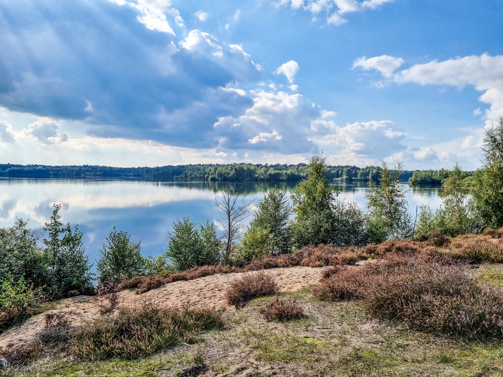 Blick über eine sandige Fläche mit vereinzelten Heide-Pflanzen und einem klaren See im Hintergrund.