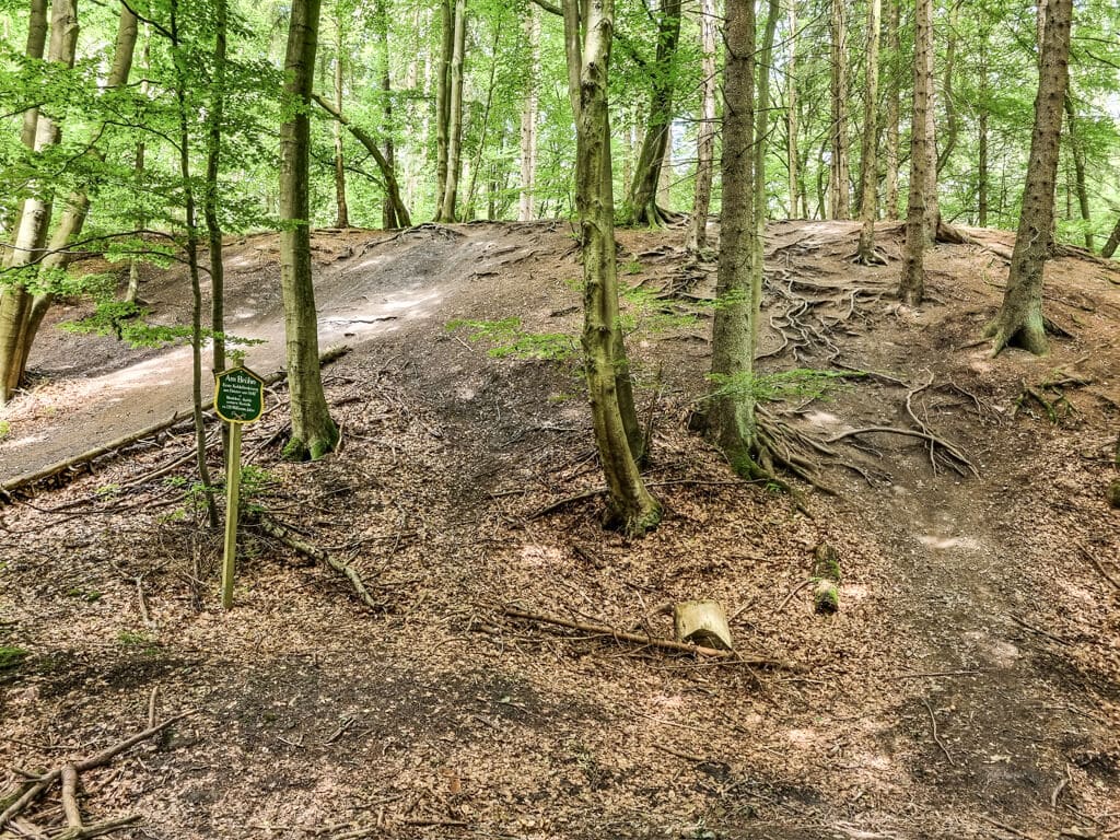 Ein sanfter Hang in einem Wald, an dessen Oberfläche markante Baumwurzeln hervorstehen. Am Fuß des Hangs steht zwischen verstreuten Blättern und Zweigen ein hölzernes Hinweisschild. Die umliegende Gegend ist dicht mit hohen Bäumen und üppigem grünem Laub bewachsen.
