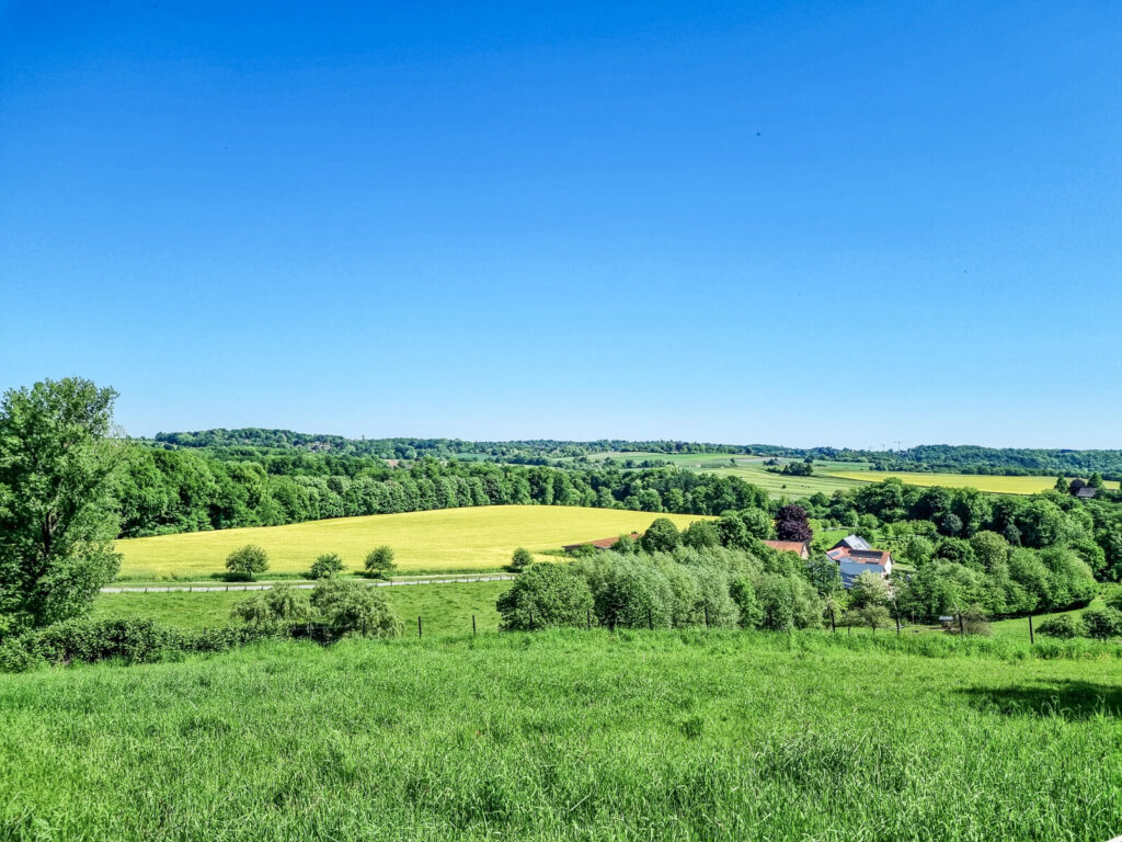 Eine lebendige Landschaft mit grünen Grasfeldern, gelben Rapsfeldern, vereinzelten Bäumen und ein paar Häusern unter einem klaren blauen Himmel an einem sonnigen Tag.

