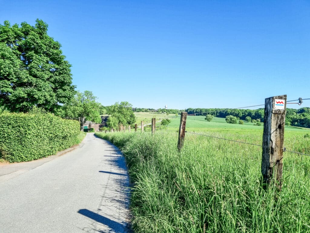 Eine schmale, asphaltierte Landstraße schlängelt sich unter einem klaren, blauen Himmel durch grüne Felder. Rechts ein Holzzaun und hohes Gras, links laubbedeckte Bäume. An einem Zaunpfahl ist eine kleine Markierung für einen Wanderweg, den Kettwiger Panoramasteig, zu sehen.