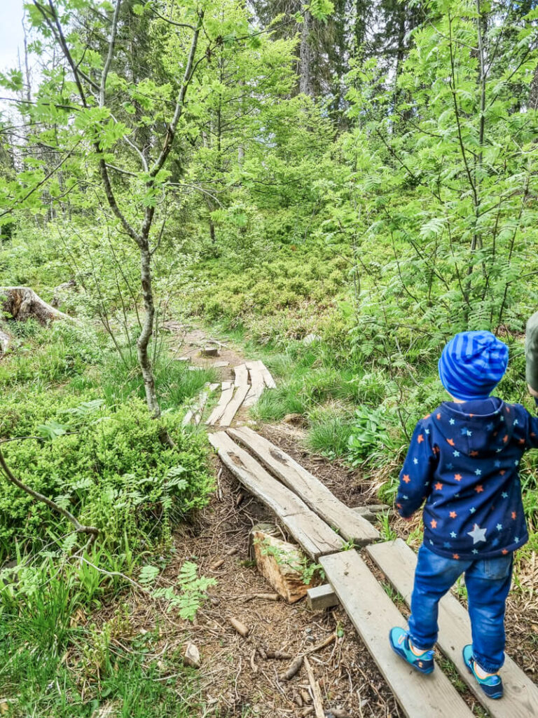 Ein kleines Kind in einer blauen Jacke mit Sternenmuster und einer gestreiften Mütze steht am Anfang eines schmalen Holzstegs, der sich durch einen üppigen, grünen Wald schlängelt.