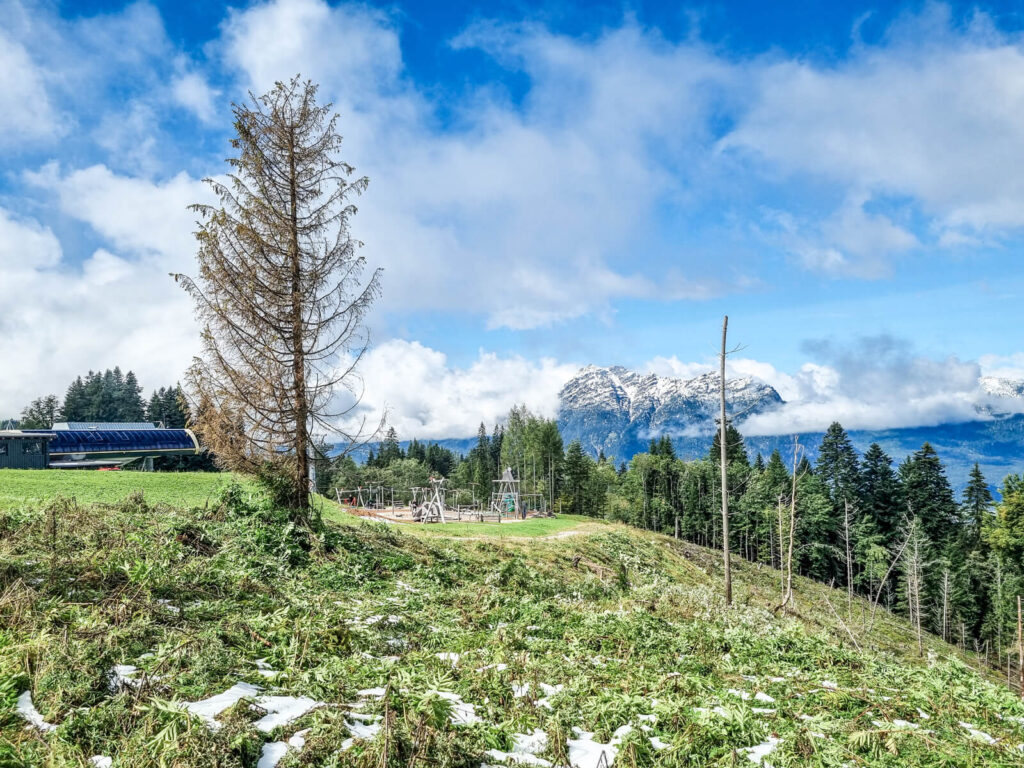 Ein malerischer Blick auf einen grasbewachsenen Hügel mit einem einsamen Baum, teilweise mit Schnee bedeckt. Im mittleren Abstand befindet sich ein Spielplatz. Bewaldete Hänge und schneebedeckte Berge sind unter einem strahlend blauen Himmel mit Wolken zu sehen.