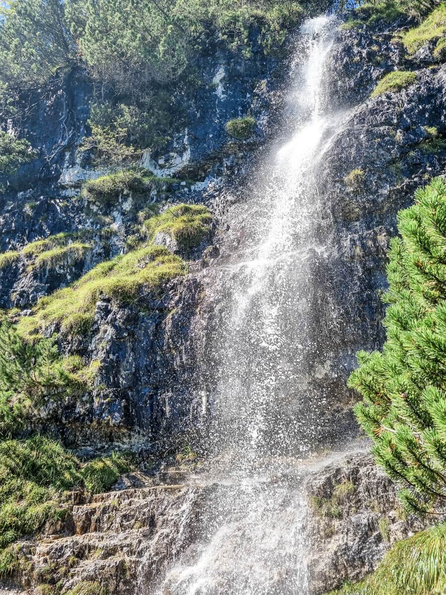 Ein Wasserfall stürzt eine felsige Klippe hinab, die mit grünem Gras und Vegetation bedeckt ist. Sonnenlicht spiegelt sich im Wasser und erzeugt einen glitzernden Effekt. Kiefern rahmen die Szene ein und unterstreichen die natürliche Schönheit.