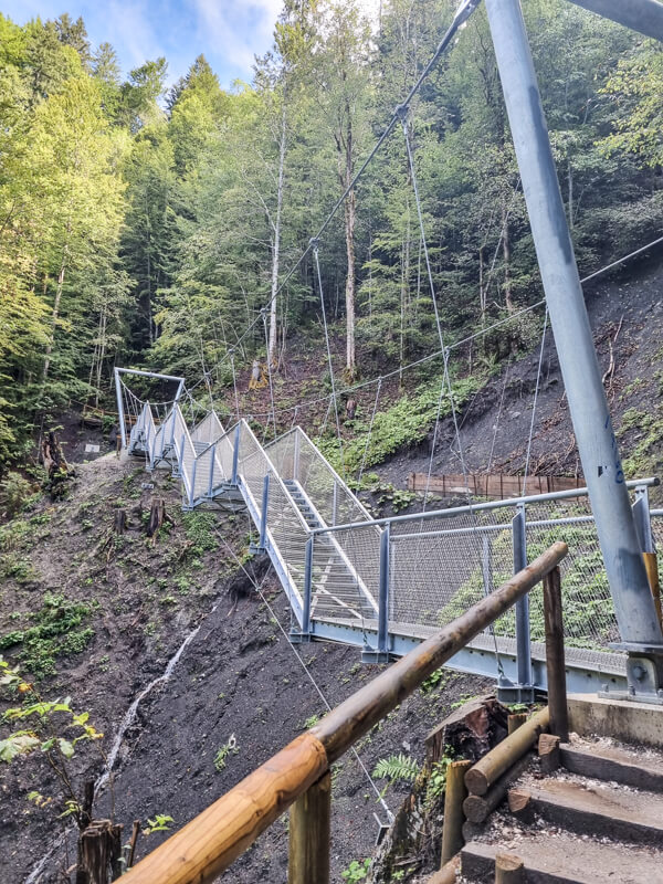 Eine metallene Hängebrücke überspannt ein steiles, bewaldetes Tal. Sie wird von Seilen getragen und überragt einen kleinen, felsigen Bach. Die Umgebung ist üppig mit grünen Bäumen und Unterholz bewachsen. Ein Holzgeländer führt zur Brücke hinauf.
