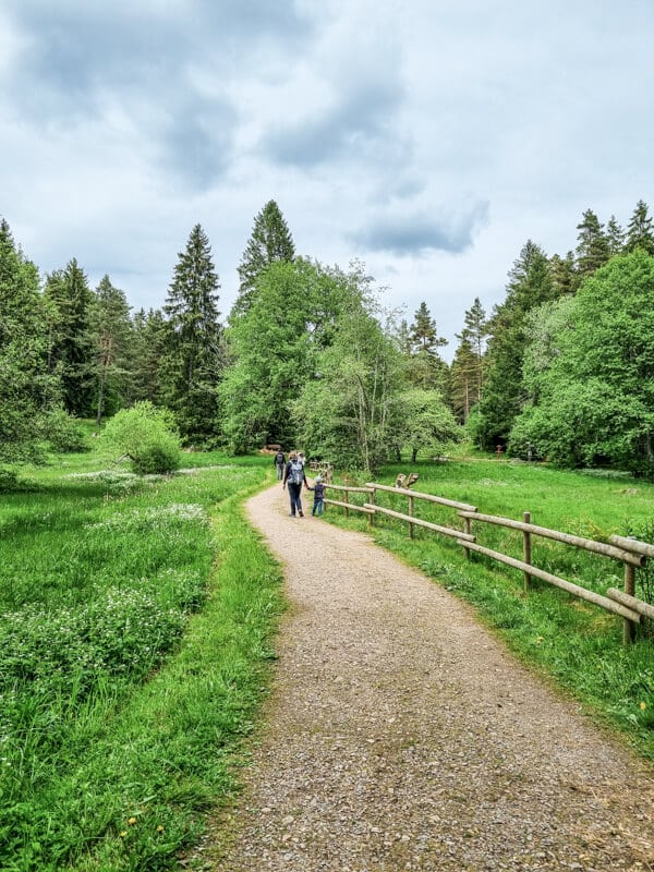 Ein Schotterweg schlängelt sich durch einen üppig grünen Park mit hohen Bäumen und einem Holzzaun. Ein paar Menschen gehen unter einem bewölkten Himmel den Weg entlang.