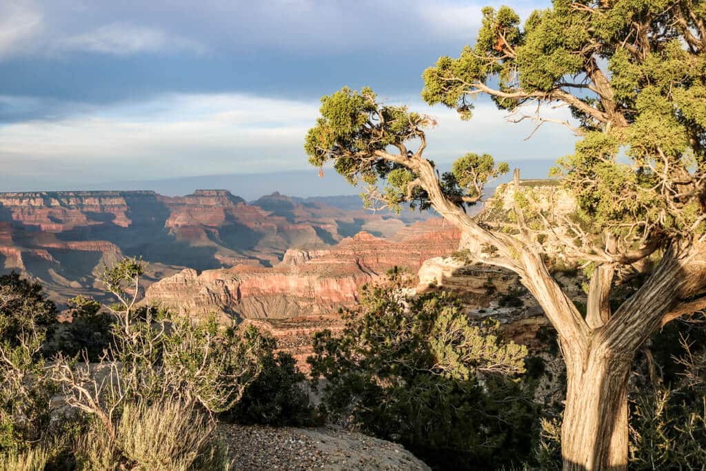 dunkle Wolken am Powell Point am Grand Canyon