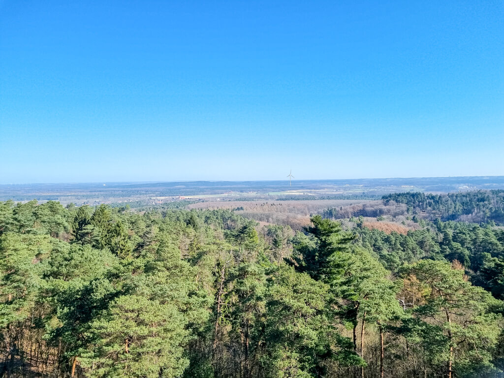 Ausblick über grüne Nadelwälder und Felder bei strahlend blauem Himmel