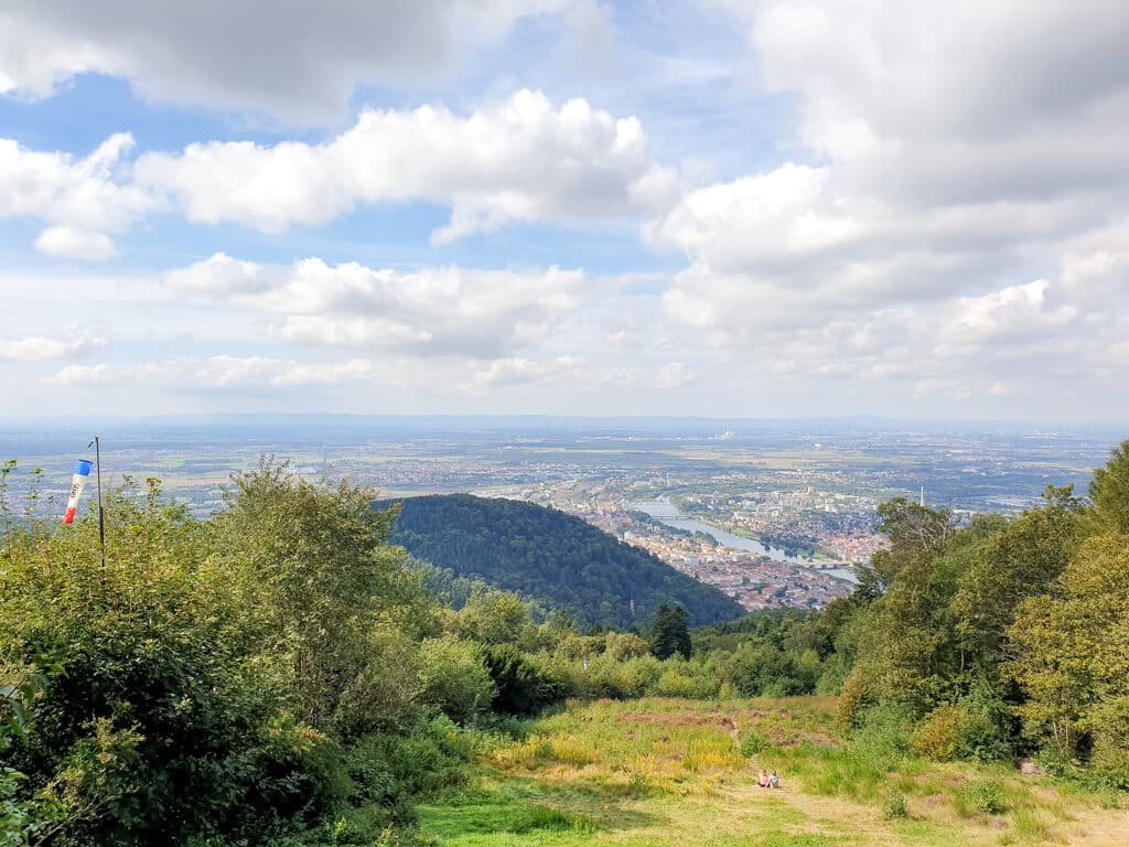 Ausblick über eine Wiese hinunter auf die Stadt Heidelberg und den Neckar