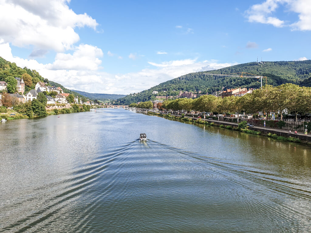 Bild zeigt den Neckar in der Mitte mit einem kleinen Boot. Auf der linken Seite am Ufer einige Häuser und Wälder; rechts eine Uferstraße mit Bäumen, dahinter die Altstadt von Heidelberg und der bewaldete Berg "Königstuhl"