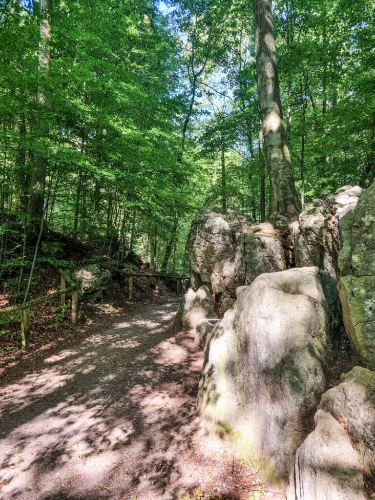 Ein sonnenbeschienener Waldweg mit großen moosbewachsenen Felsen auf der rechten Seite, hohen grünen Bäumen über dem Weg und einem Holzzaun auf der linken Seite des Weges. Das schummrige Sonnenlicht erzeugt Muster auf dem Boden.