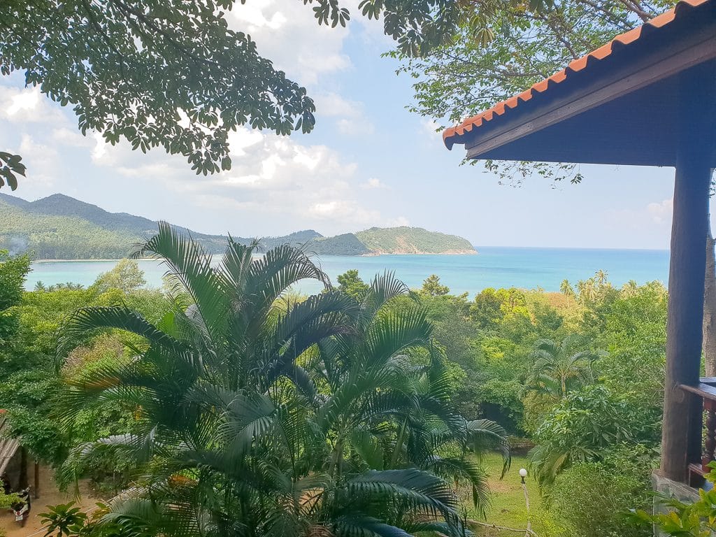 Ausblick über Palmen und Bäume - im Hintergrund ist das Meer zu sehen