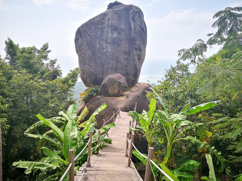 Holzbrücke führt zu einem großen Stein und Aussichtspunkt mitten im Wald