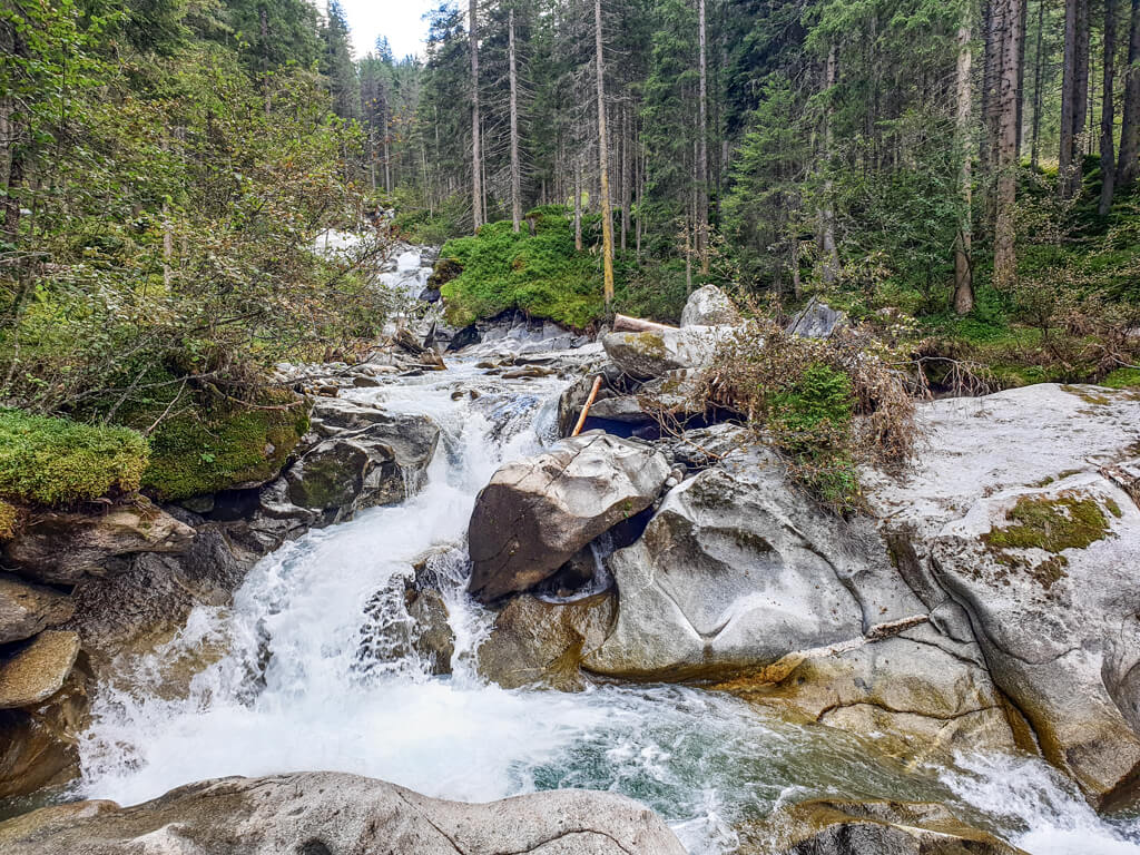 Wasser fließt zwischen Felsen in einem Wald durch eine Klamm