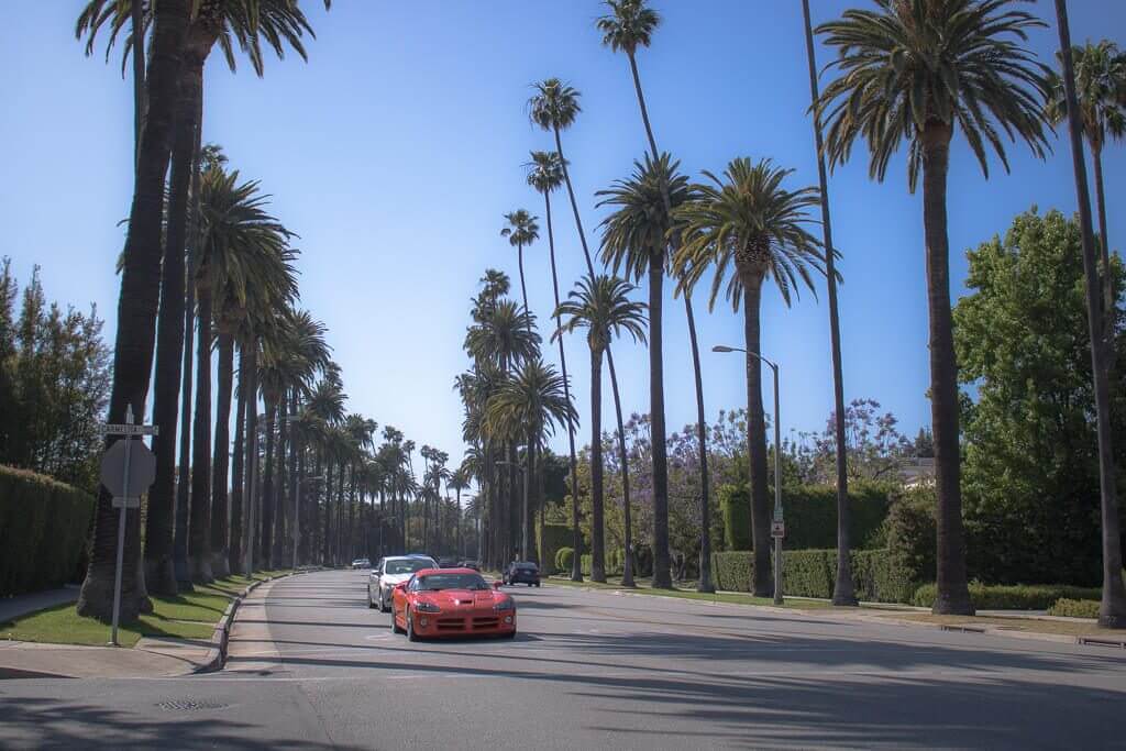 Los Angeles - Beverly Hills - Palmengesäumte Straße - Sportwagen
