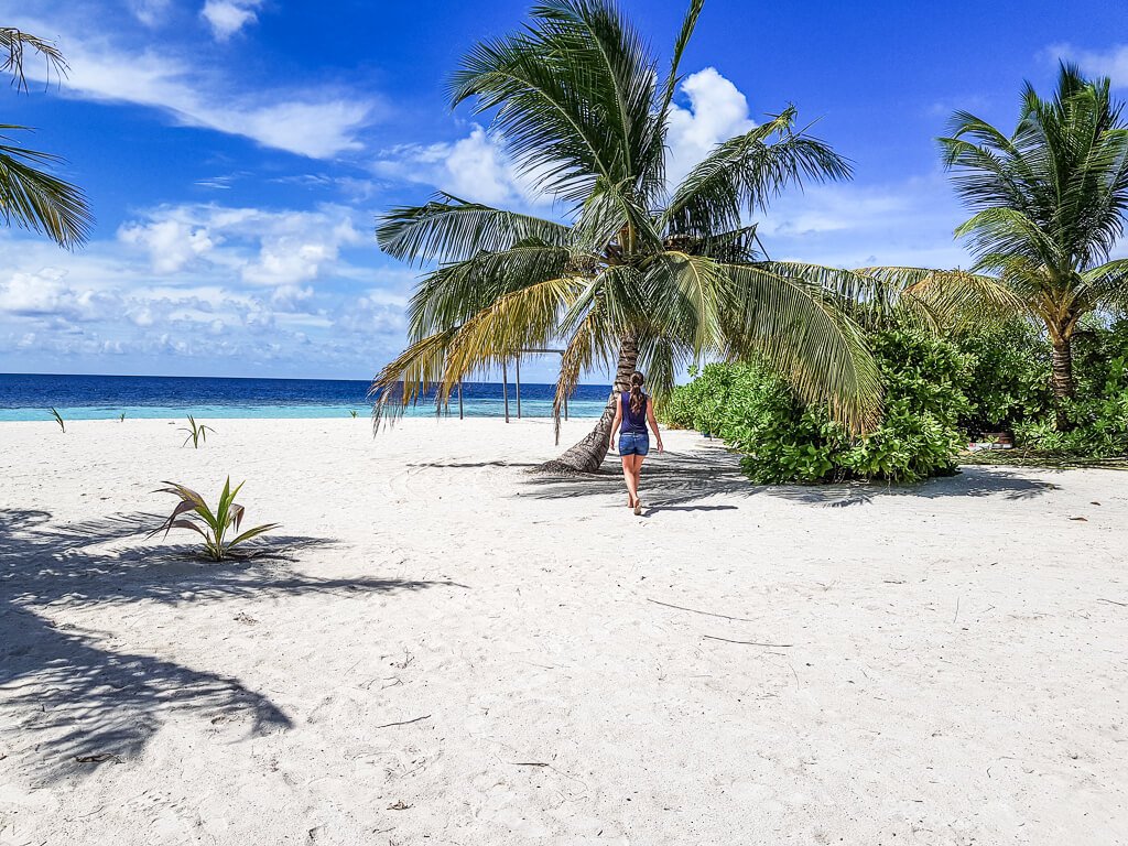 Malediven - Strand - Palme - Honeymoon