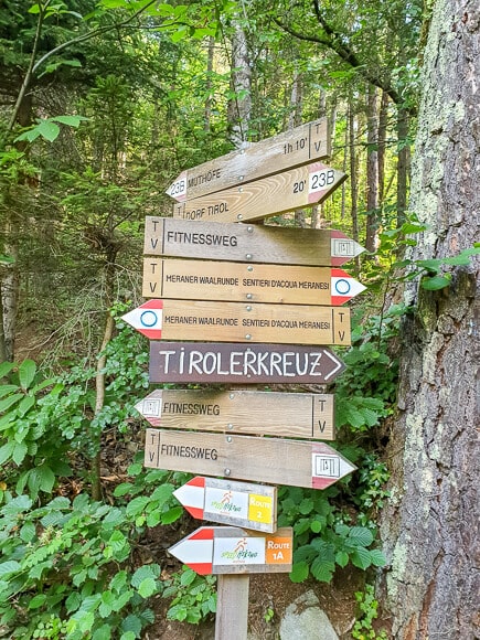 Wegweiser mit mehreren hölzernen Schildern mitten im Wald