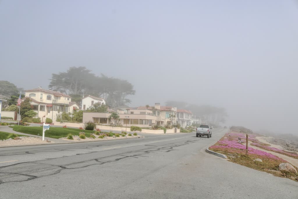 Straße im Nebel - links Häuser, rechts rosafarbene Blumen und ein sandiger Weg