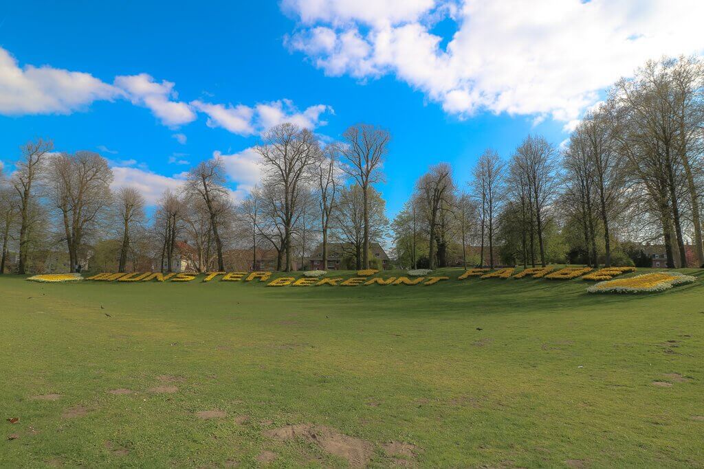 Münster - Aasee - Münster bekennt Farbe - Wiese, Bäume, Blumen