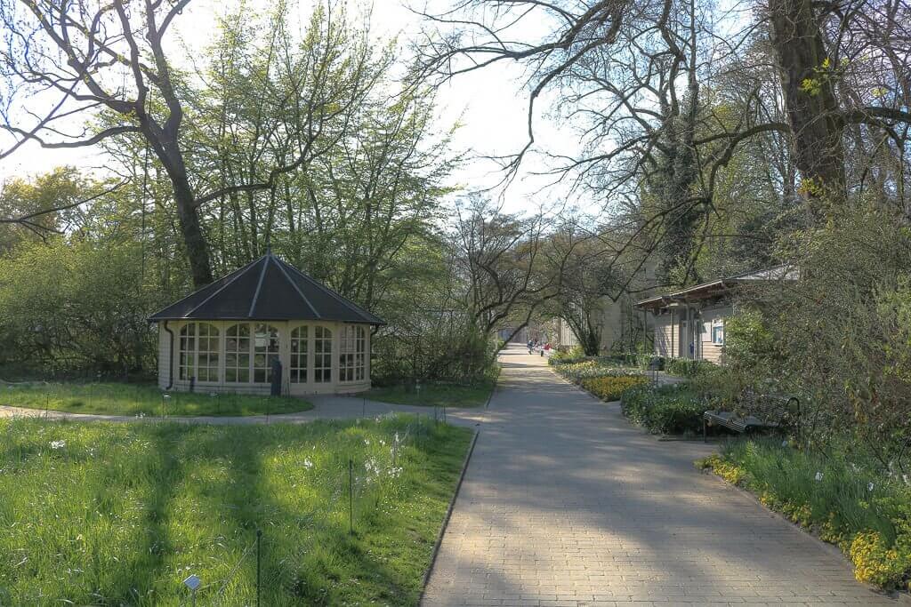 Münster - Botanischer Garten - Weg im Grünen