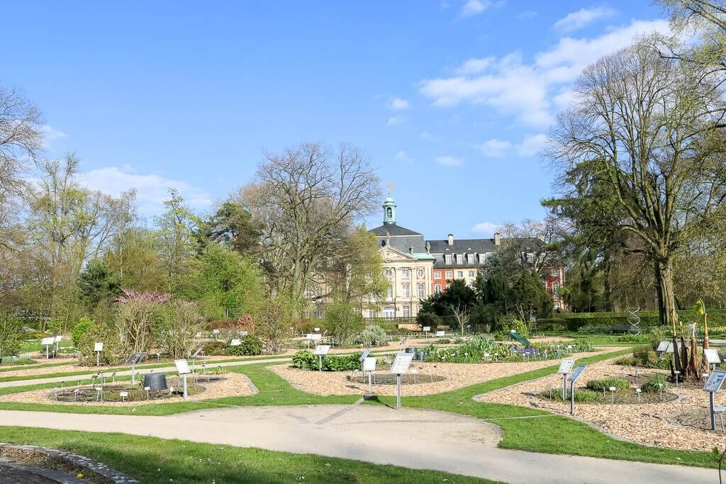 Münster - Botanischer Garten mit Blick auf das Schloss