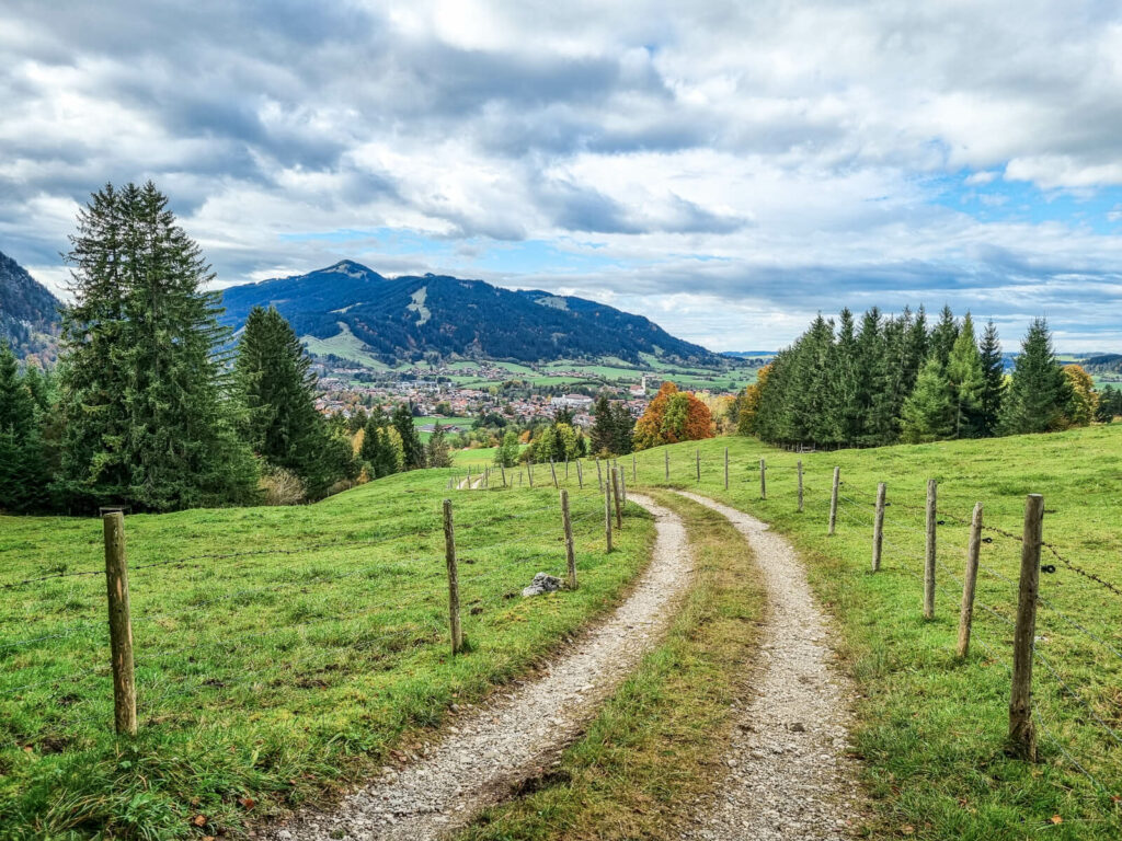 Ein gewundener Schotterweg führt durch üppige grüne Felder, gesäumt von Holzzäunen. Hohe Kiefern säumen den Weg, in der Ferne sind unter einem teilweise bewölkten Himmel eine malerische Bergkette und eine kleine Stadt zu erkennen.
