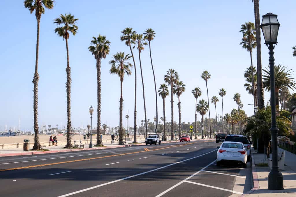 Straße mit Palmen gesäumt - links der Strand und das Meer