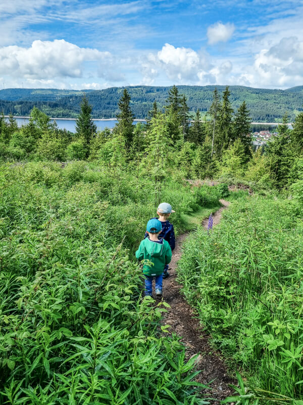Zwei kleine Kinder mit Cappies gehen auf einem schmalen Feldweg durch üppige grüne Vegetation, mit Bäumen, einem See und Bergen im Hintergrund unter einem blauen Himmel mit vereinzelten Wolken.

