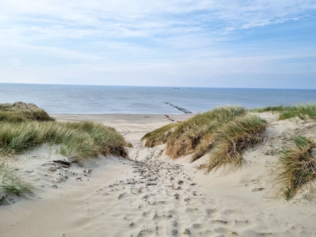 Sanddüne mit Strandhafer und Ausblick aufs Meer