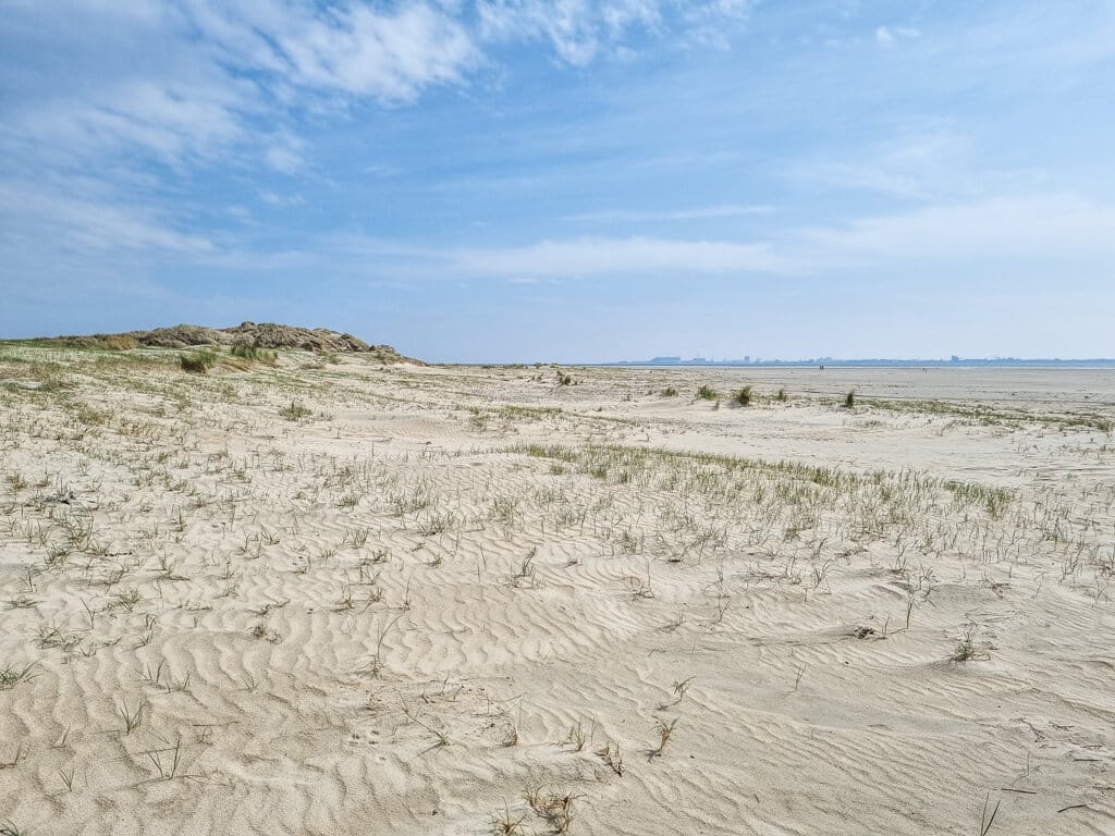 Strand und Dünenlandschaft mit Strandhafer