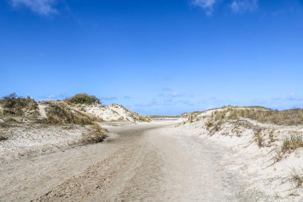 sandiger Weg zwischen kleinen Dünen