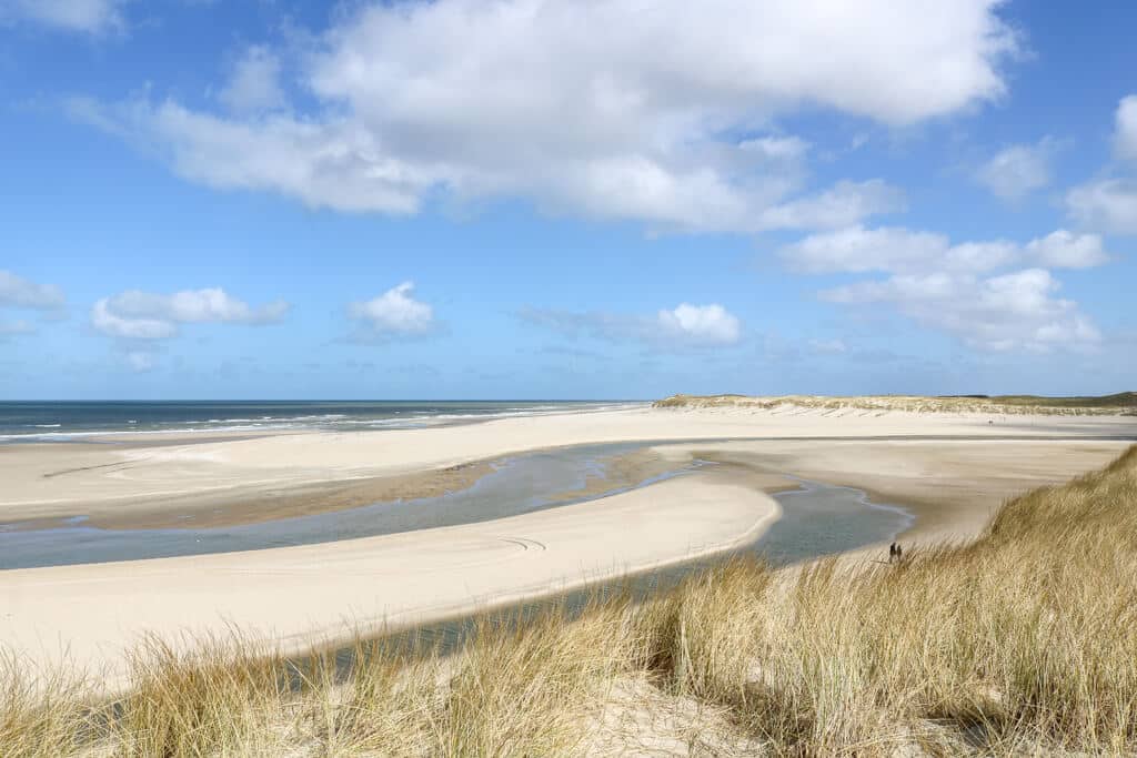 Blick auf einen Strand inmitten von Dünen mit einigen Wasserströmen durchzogen