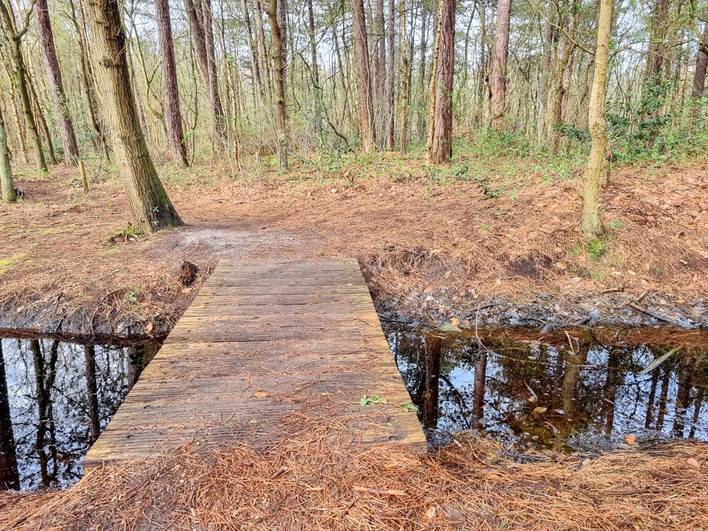 Holzbrücke führt über einen kleinen Bach in einem Wald