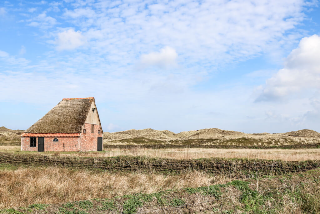 kleines Ziegelhaus mit Reetdach steht in einer grasbewachsenen Dünenlandschaft