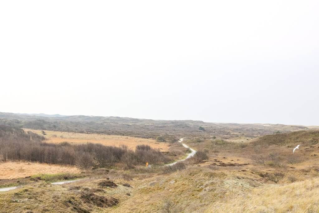 Texel - Wanderweg im Dünenpark am Ecomare