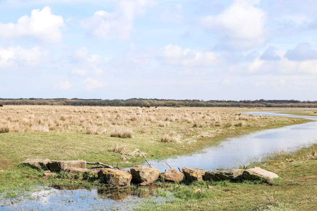 kleiner Fluss fließt durch Wiesen