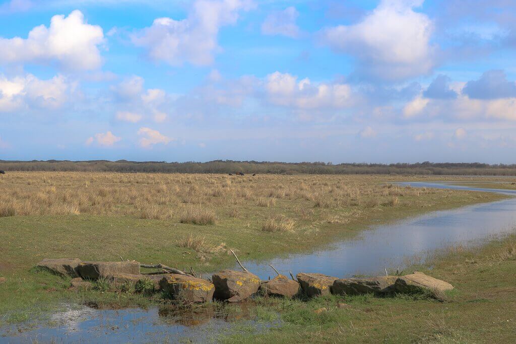 Texel - Wanderweg De Koog