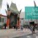Chinese Theatre Hollywood