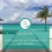 Malediven - Ankunftssteg -Palmen - Meer - Strand