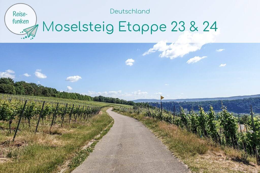 Bild mit einem Wanderweg zwischen Weinbergen bei blauem Himmel - oben ein helles Overlay mit der Aufschrift "Moselsteig Etappe 23 & 24"