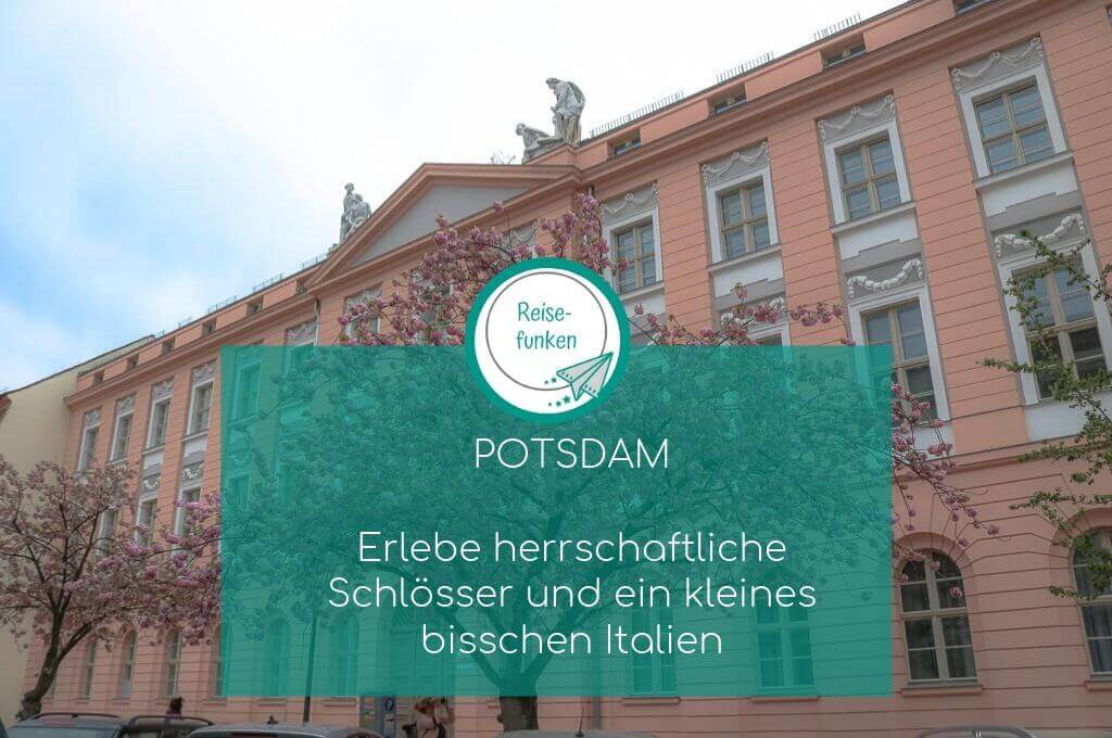 Potsdam - Kirschblüten