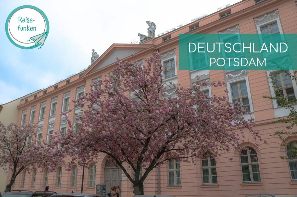 Potsdam - Gebäude mit blühendem Kirschbaum