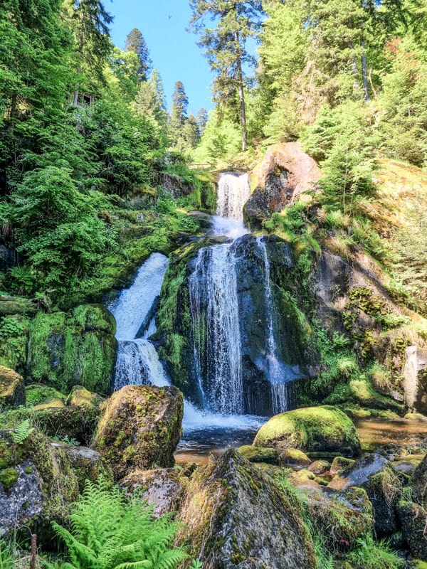Ein mehrstufiger Wasserfall (Triberger Wasserfall) stürzt über moosbedeckte Felsen, umgeben von üppigen grünen Bäumen und Farnen in einem sonnenbeschienenen Wald.

