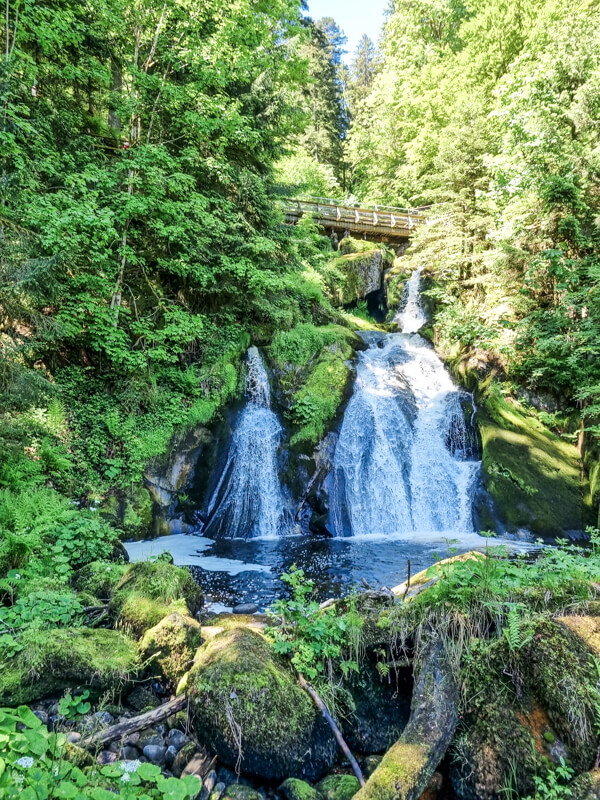 Ein üppiger grüner Wald umgibt einen mehrstufigen Wasserfall, dessen Wasser über Felsen in ein Becken stürzt. Eine hölzerne Fußgängerbrücke führt über den Wasserfall, und Sonnenlicht fällt durch die Bäume. Moos und Farne bedecken den Vordergrund.