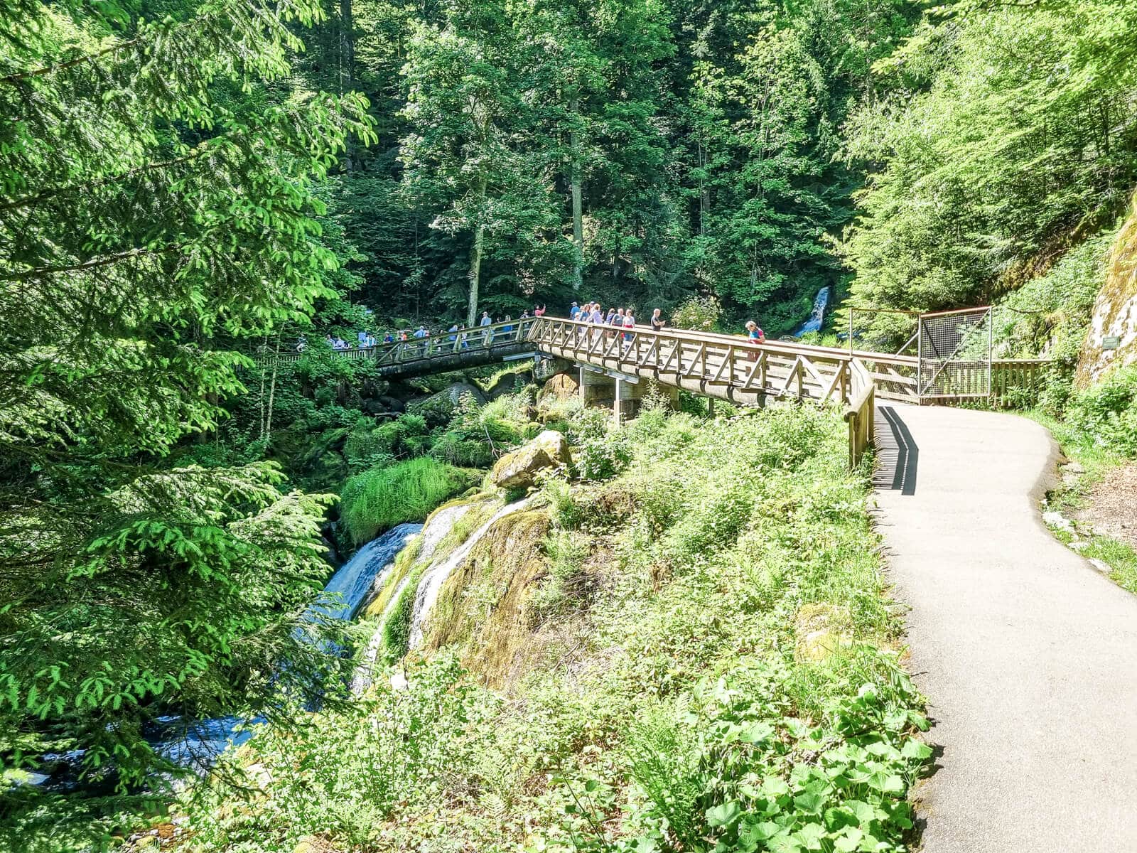 Eine Holzbrücke überspannt einen üppigen, grünen Wald, unter dem sich ein Teil der Triberger Wasserfälle befindet. Menschen gehen über die Brücke, und ein gepflasterter Weg führt im hellen Sonnenlicht durch das Grün.