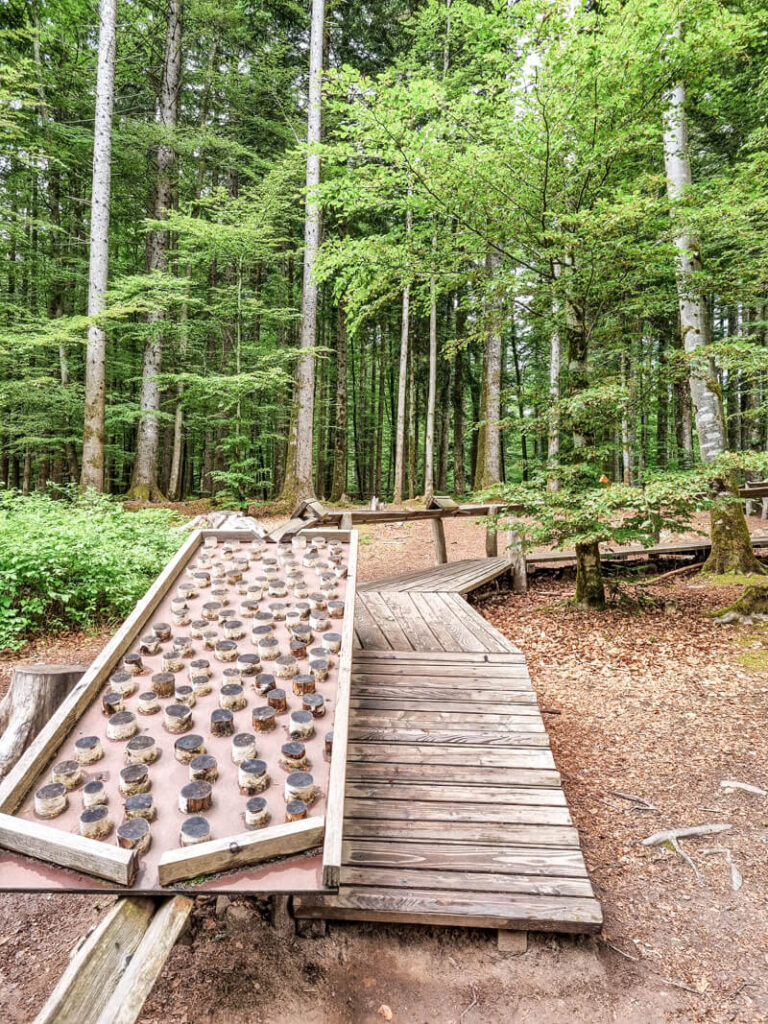 Eine Waldkugelbahn mit einem Element aus vielen kleinen Baumstämmen verläuft durch den Wald. Hohe Bäume mit grünem Laub umgeben das Gebiet und schaffen eine friedliche, natürliche Umgebung.

