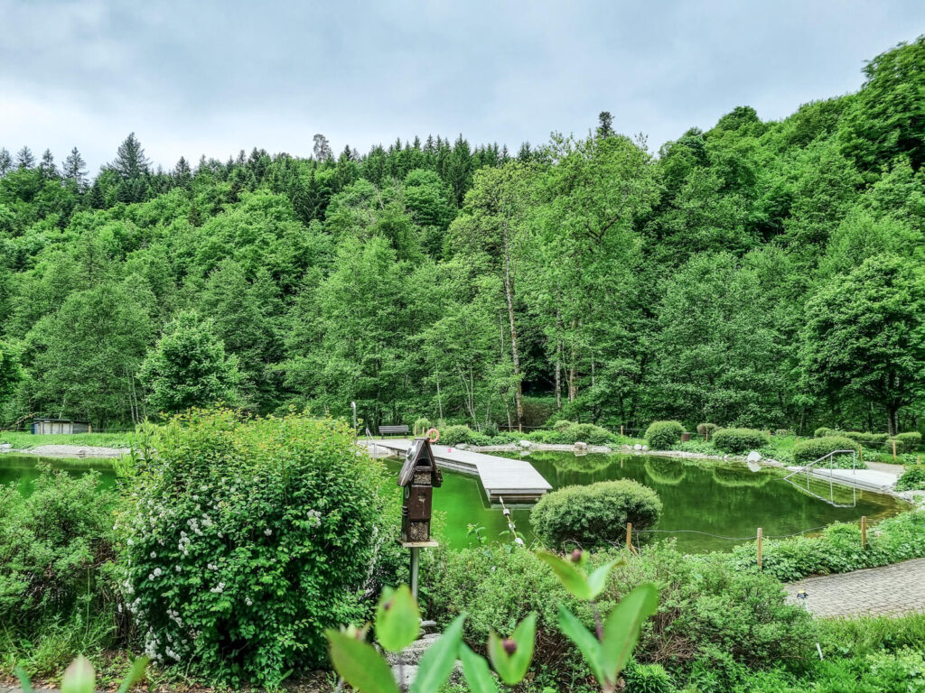 Ein üppiger grüner Wald umgibt einen kleinen Teich mit Holzsteg und Wegen. Dichte Bäume und Sträucher prägen die Szenerie unter einem bewölkten Himmel und schaffen eine friedliche, natürliche Atmosphäre.