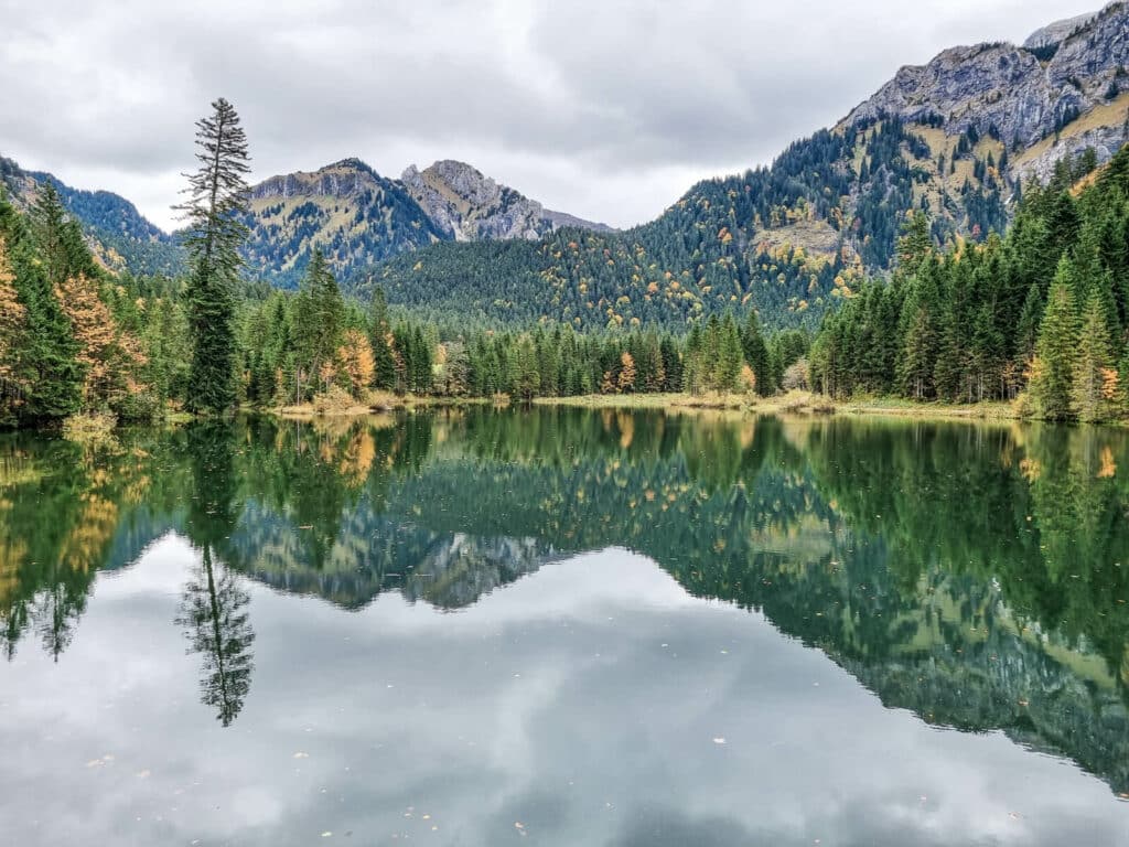 Ein ruhiger Bergsee, in dem sich die umliegenden Kiefern und felsigen Gipfel spiegeln. Der Himmel ist bedeckt und einige Bäume zeigen herbstliche Farben, die der grünen Landschaft einen Hauch von Gold und Orange verleihen.